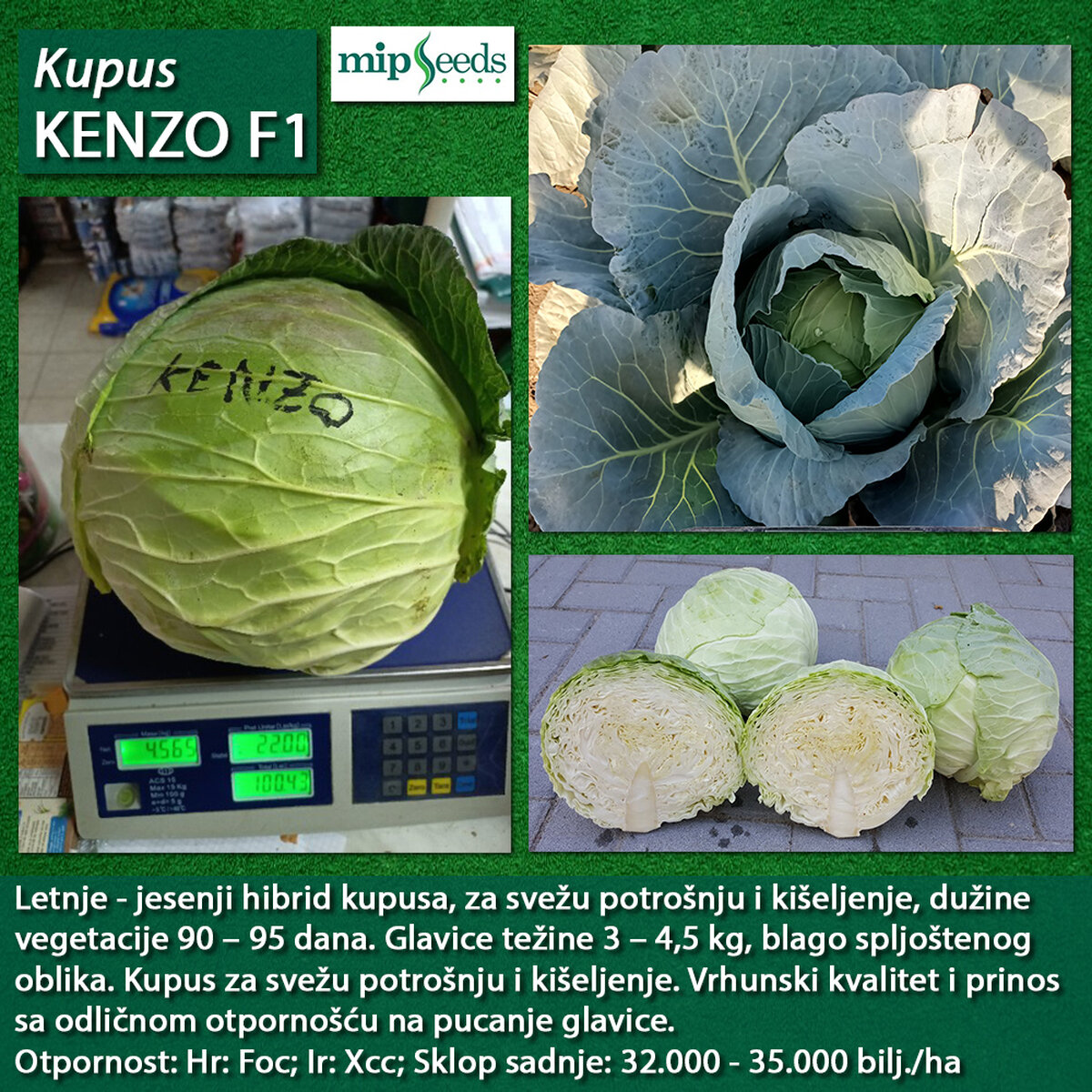 Kenzo F1.png