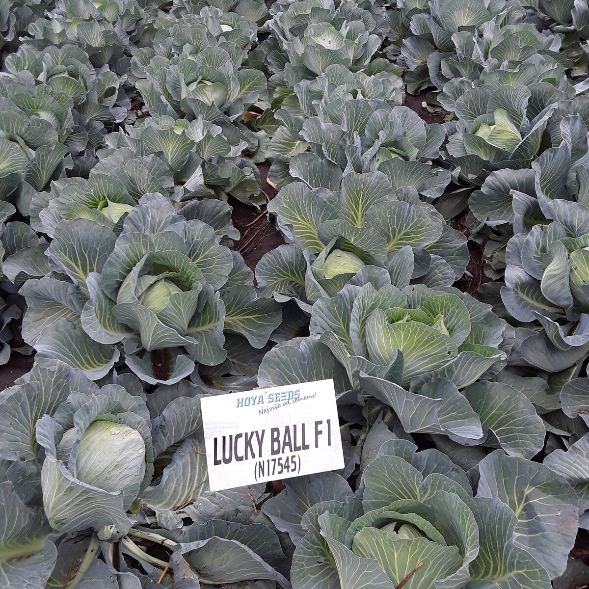 20201008_133008.jpg