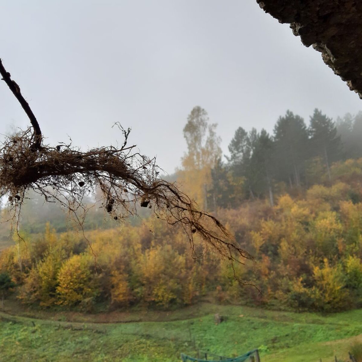 Nova 7.jpg
