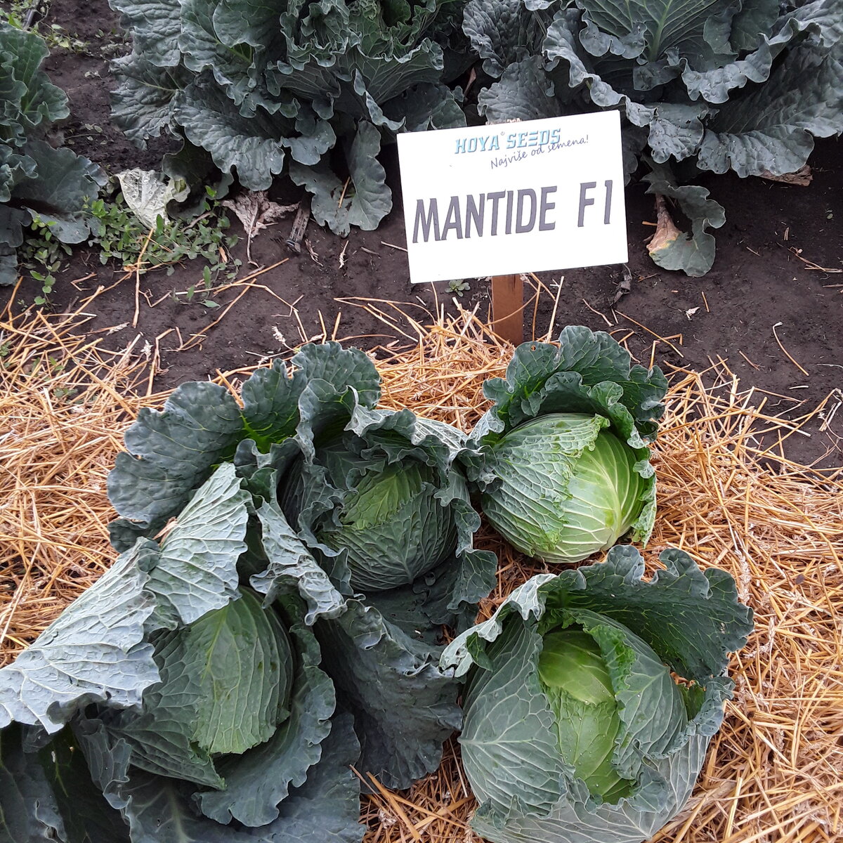 20201008_134817.jpg