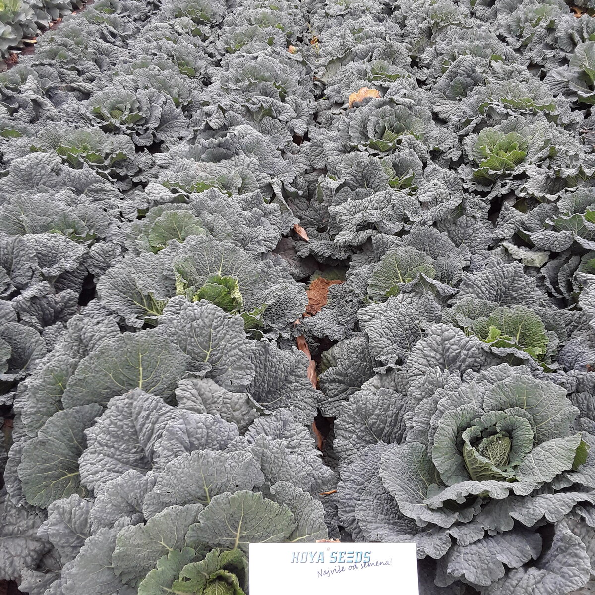 20201008_134547.jpg