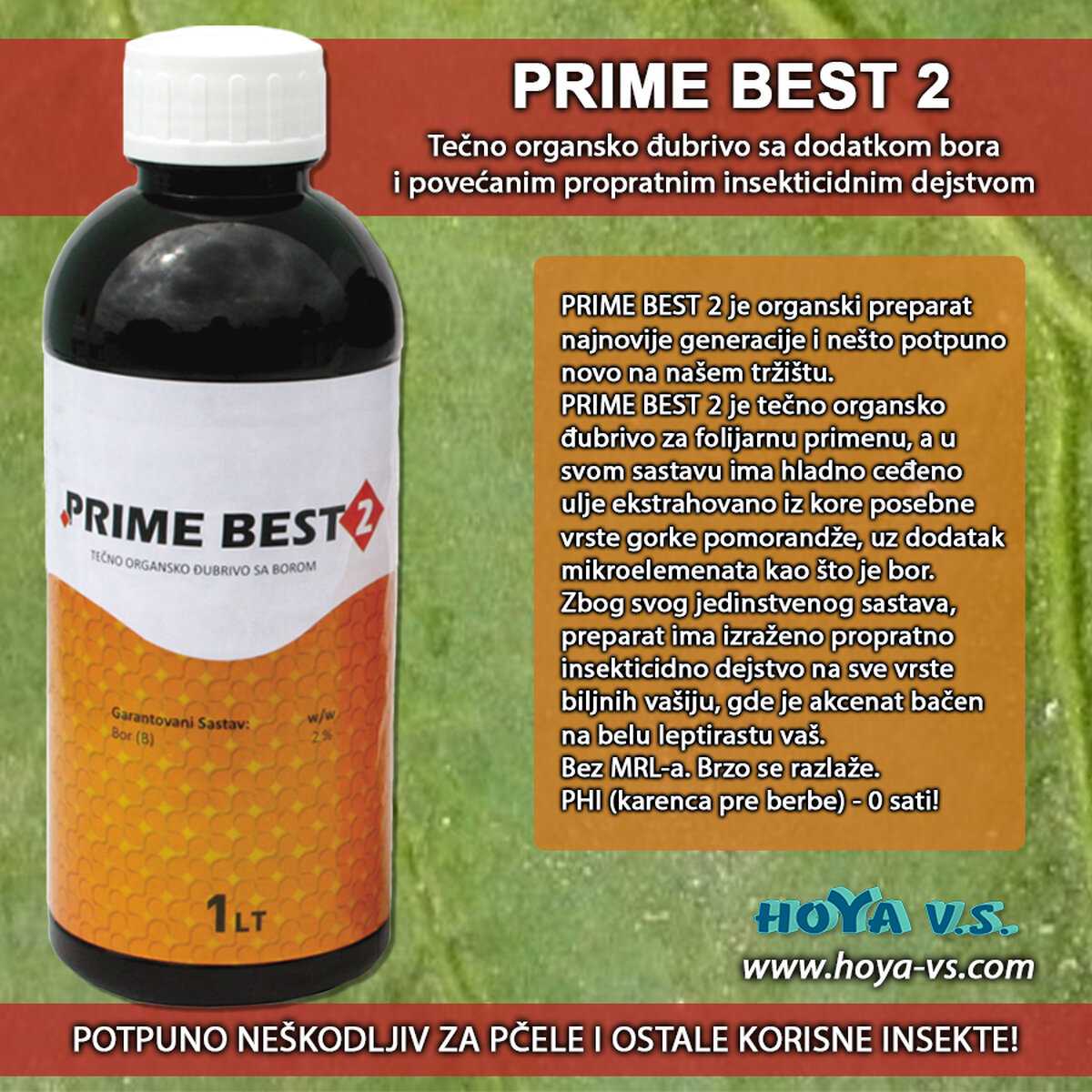 Prime Best 2.jpg