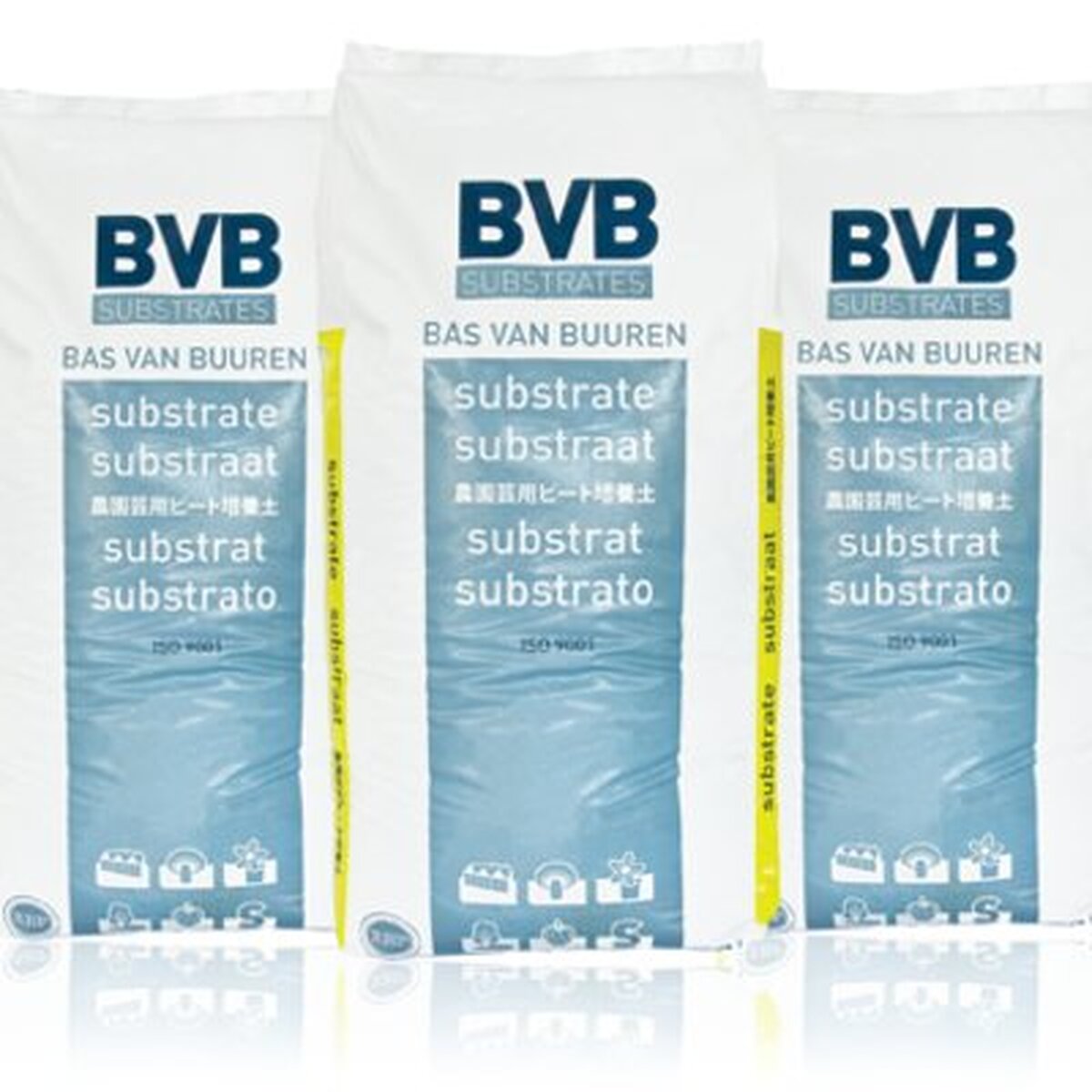 bvb-tray.jpg