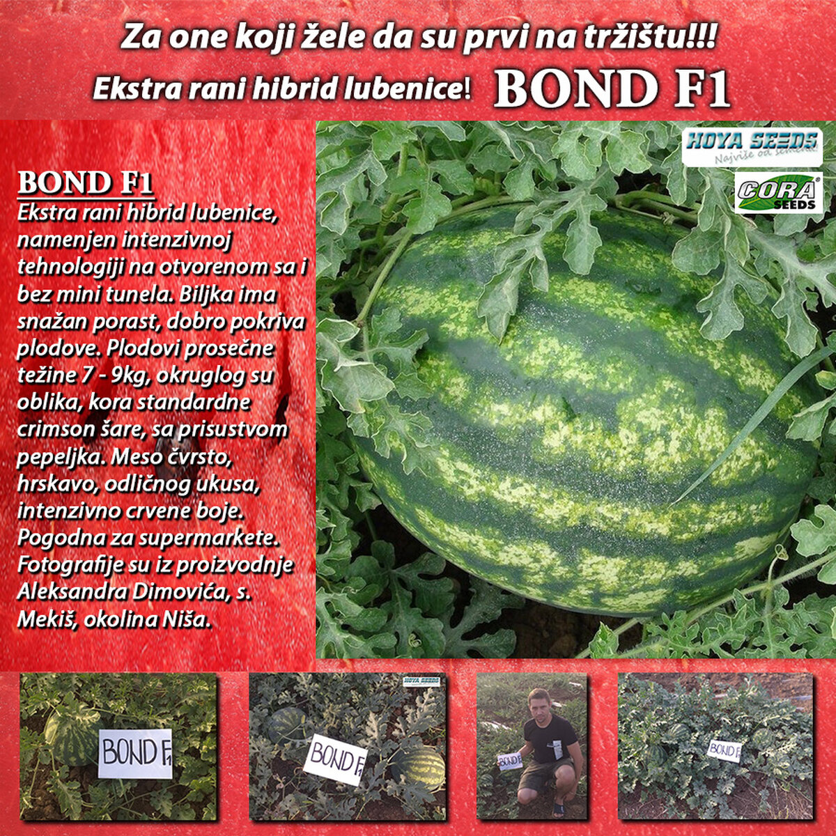01 BOND F1.jpg