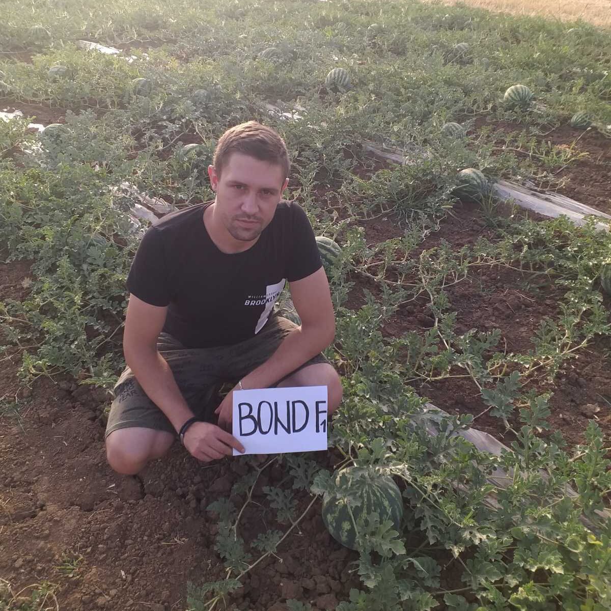 03 BOND F1.jpg