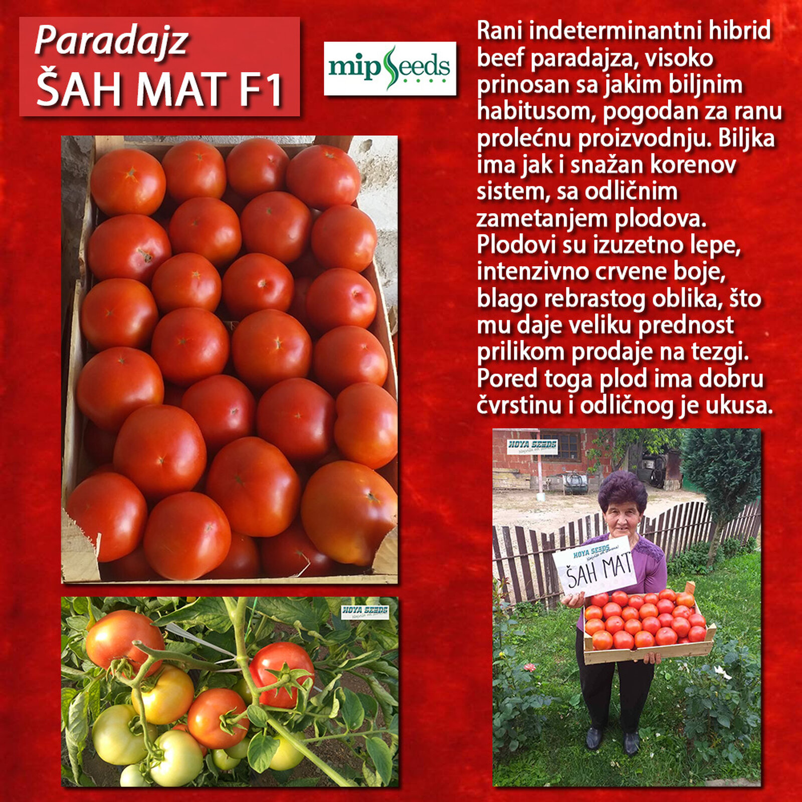 01 Šah-mat.jpg