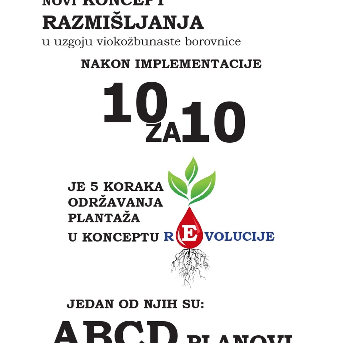 175.jpg