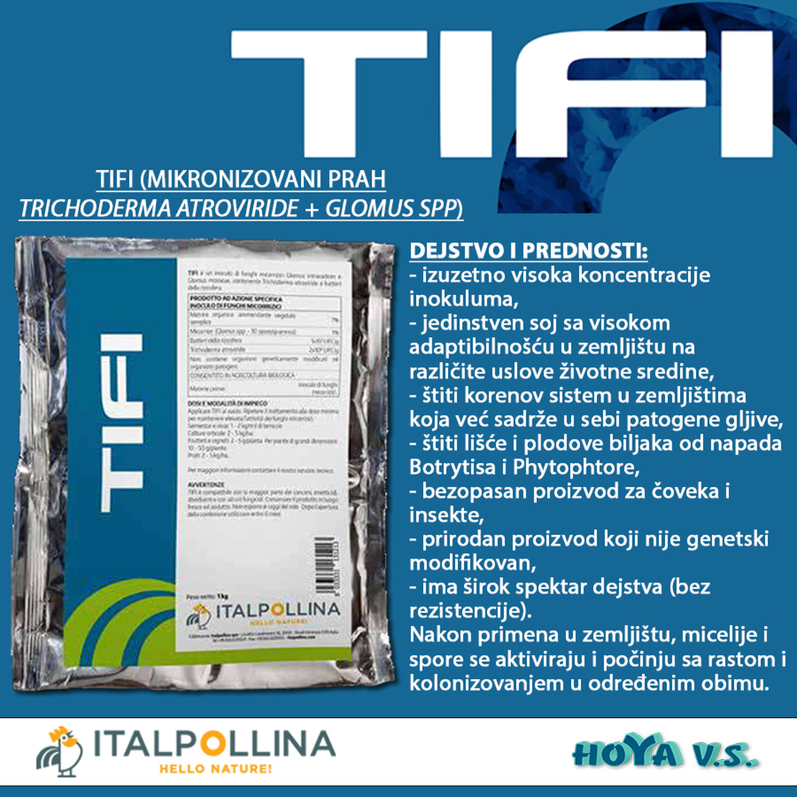 TIFI 1.jpg