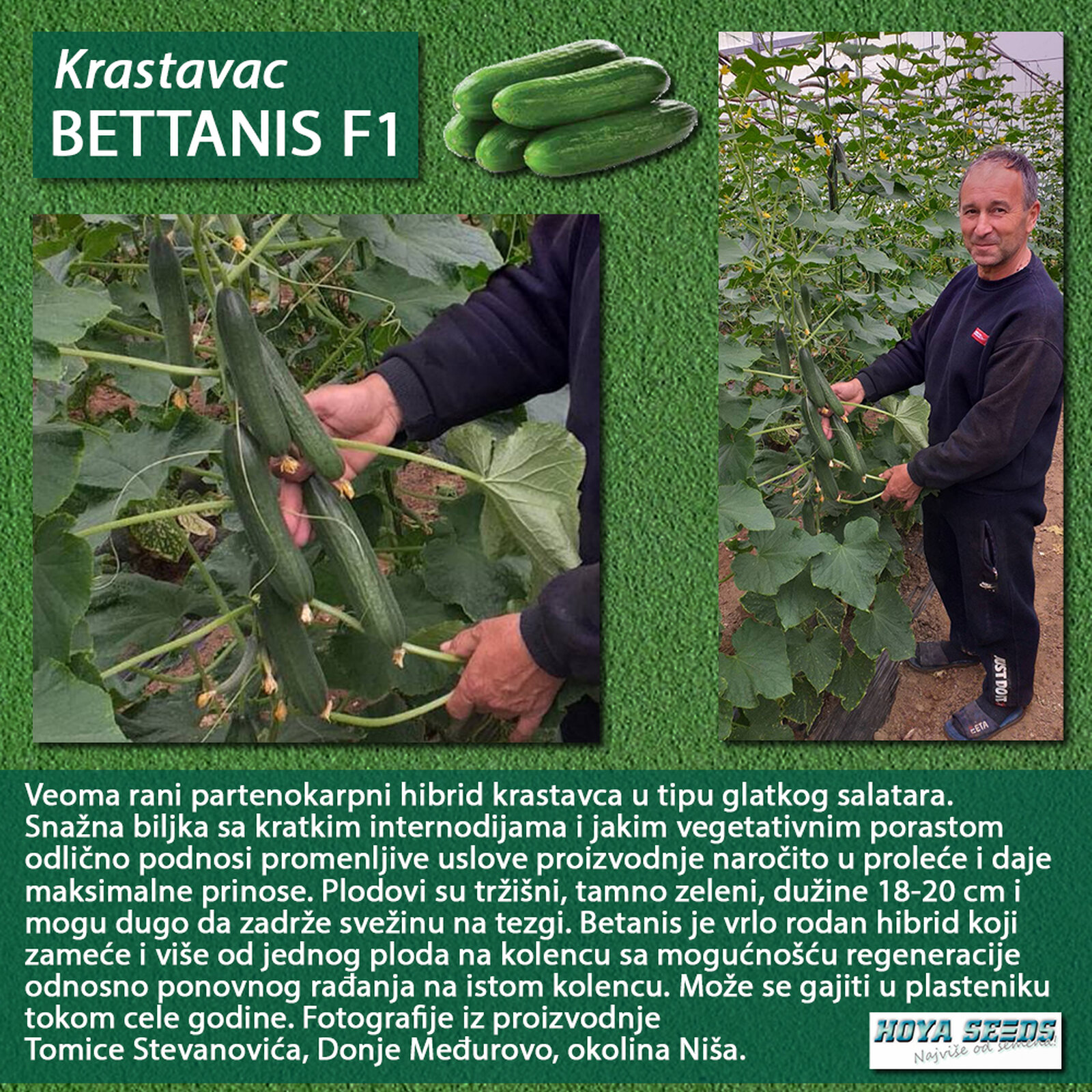 1830201 Bettanis F1.jpg