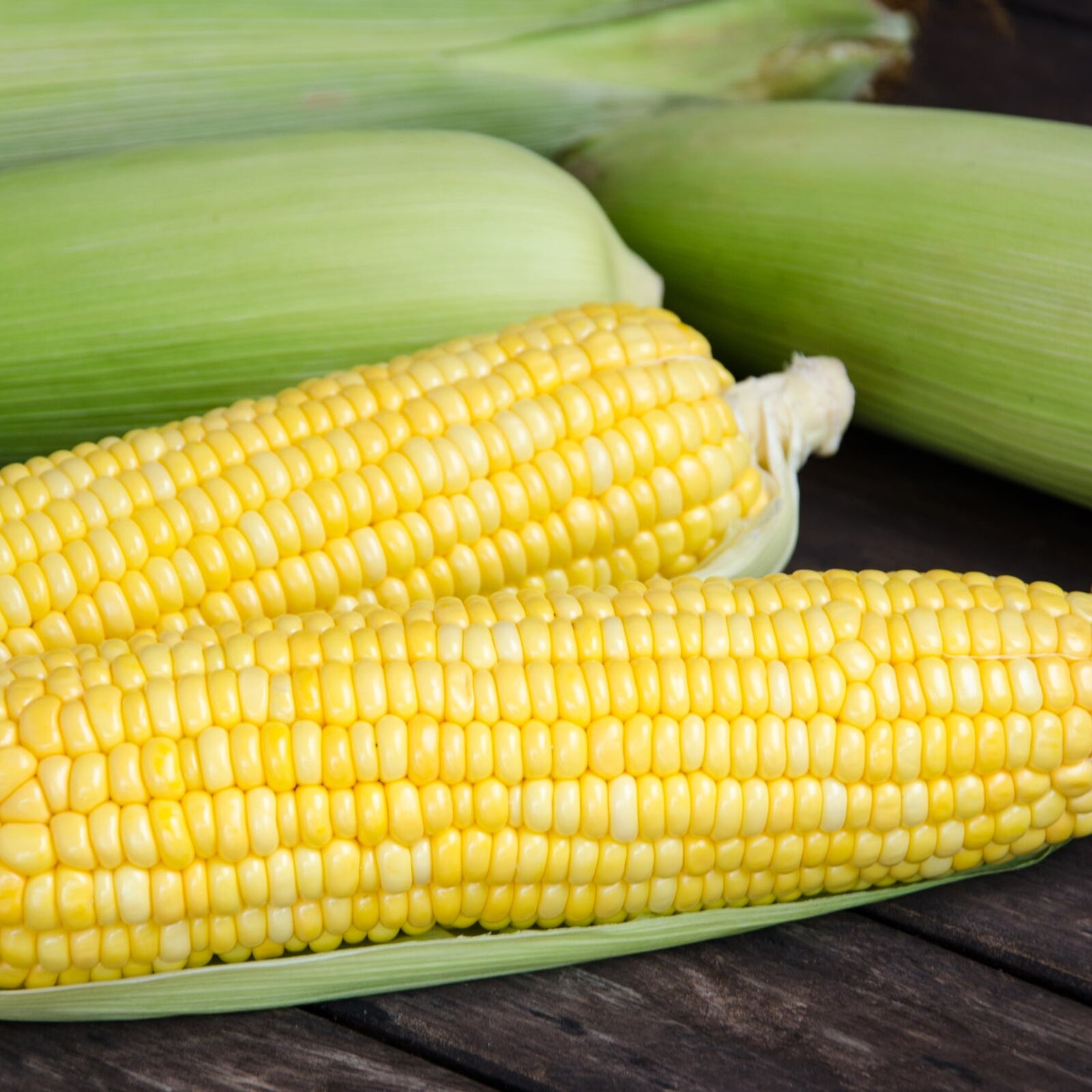 sweet-corn-53502420_2048x.jpg