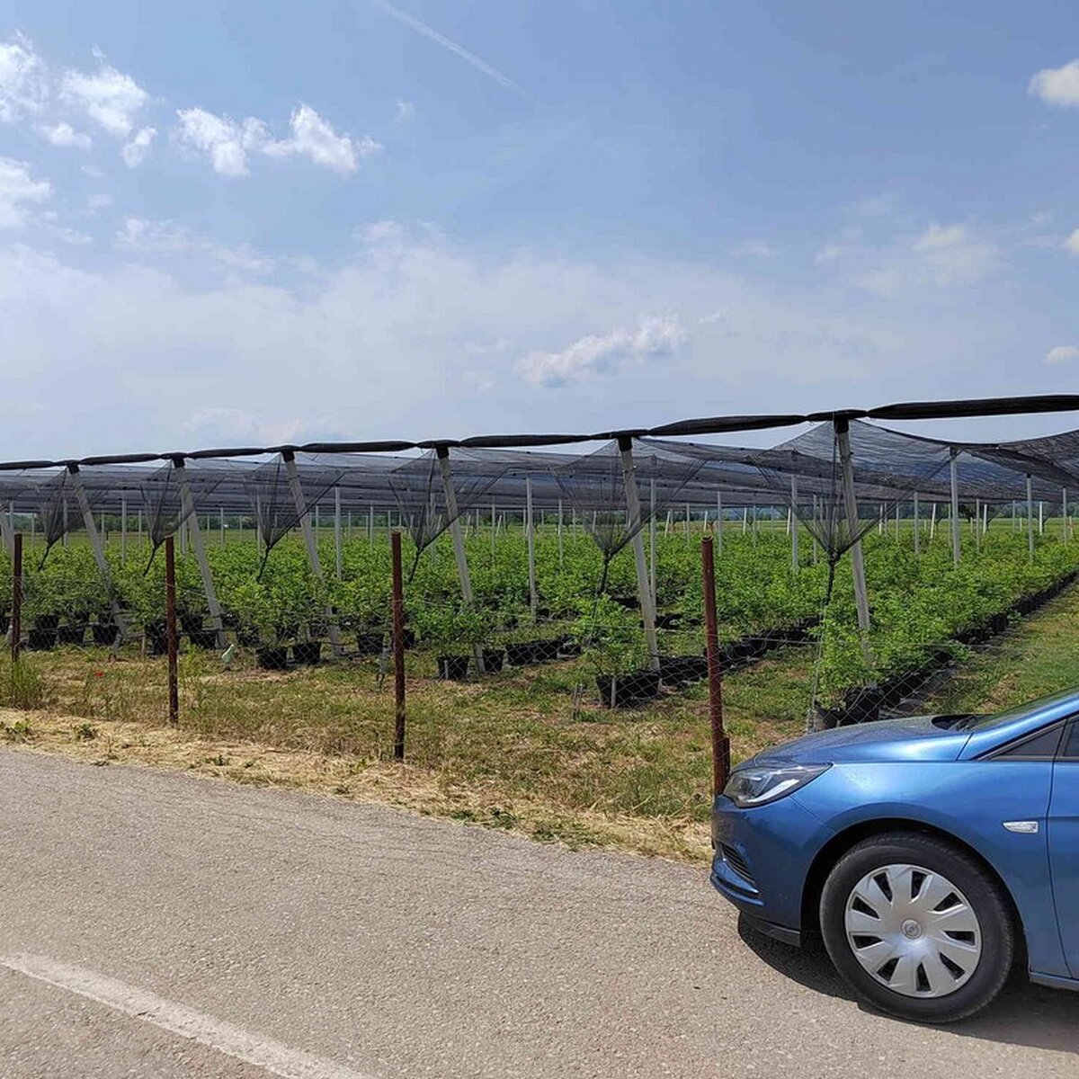 IMG_20220524_141008.jpg
