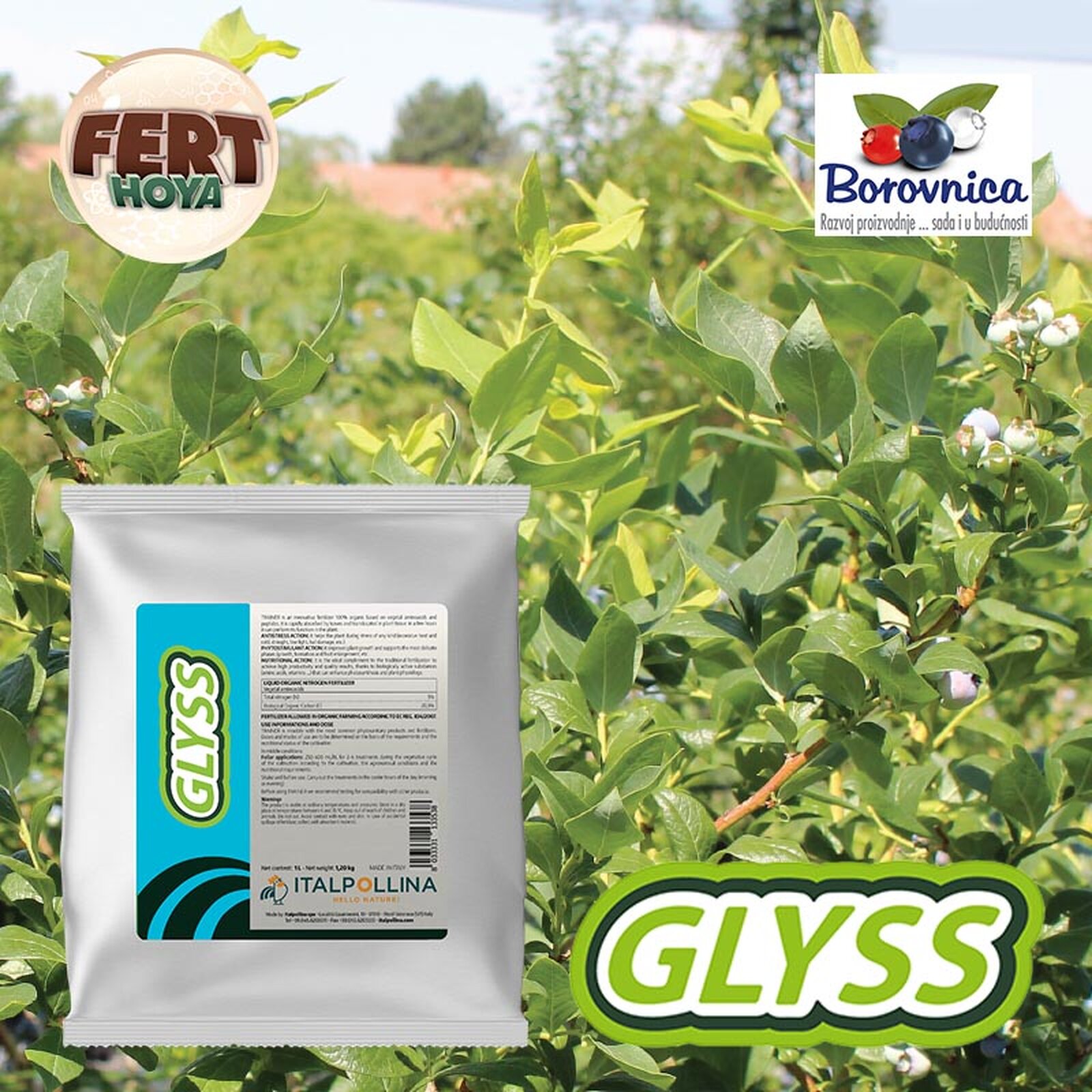 Glyss26-05-2023.jpg