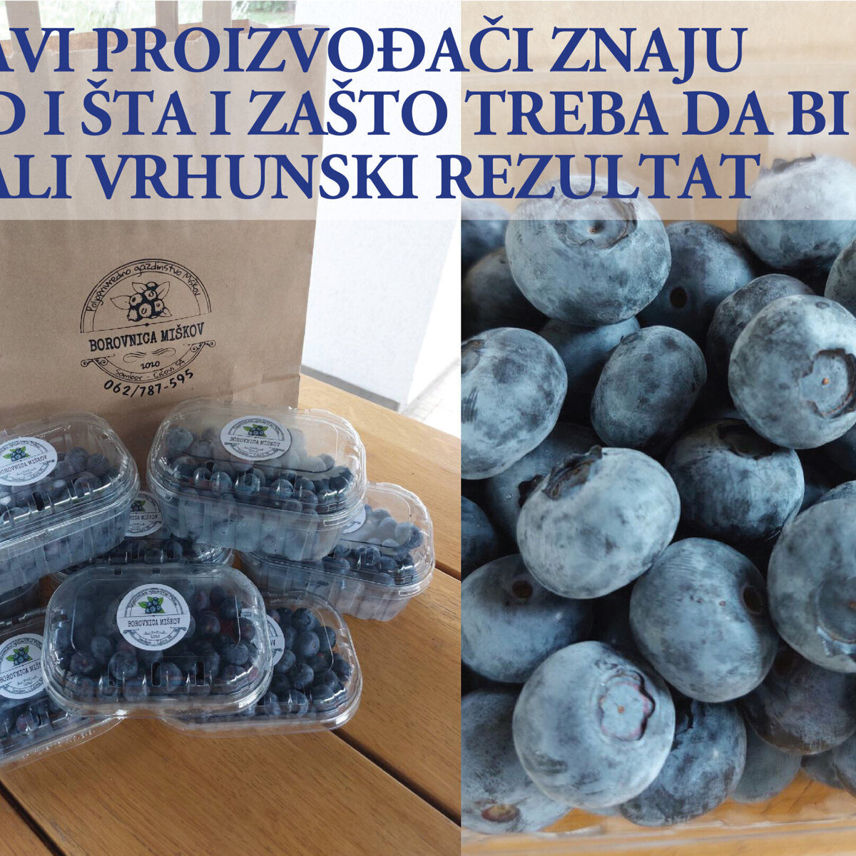 17-06-2023-1.jpg
