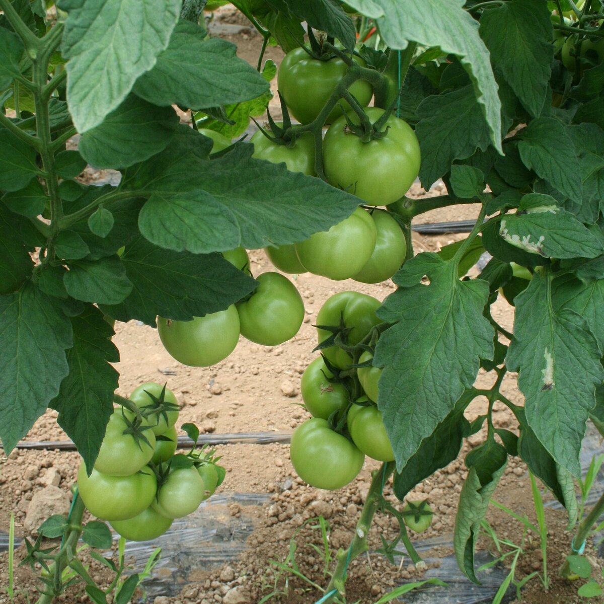 19157IMG_2272.JPG