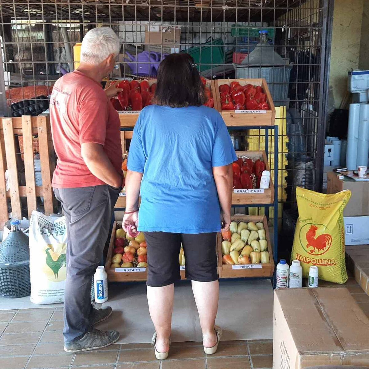 viber_image_2023-10-03_10-36-09-976.jpg