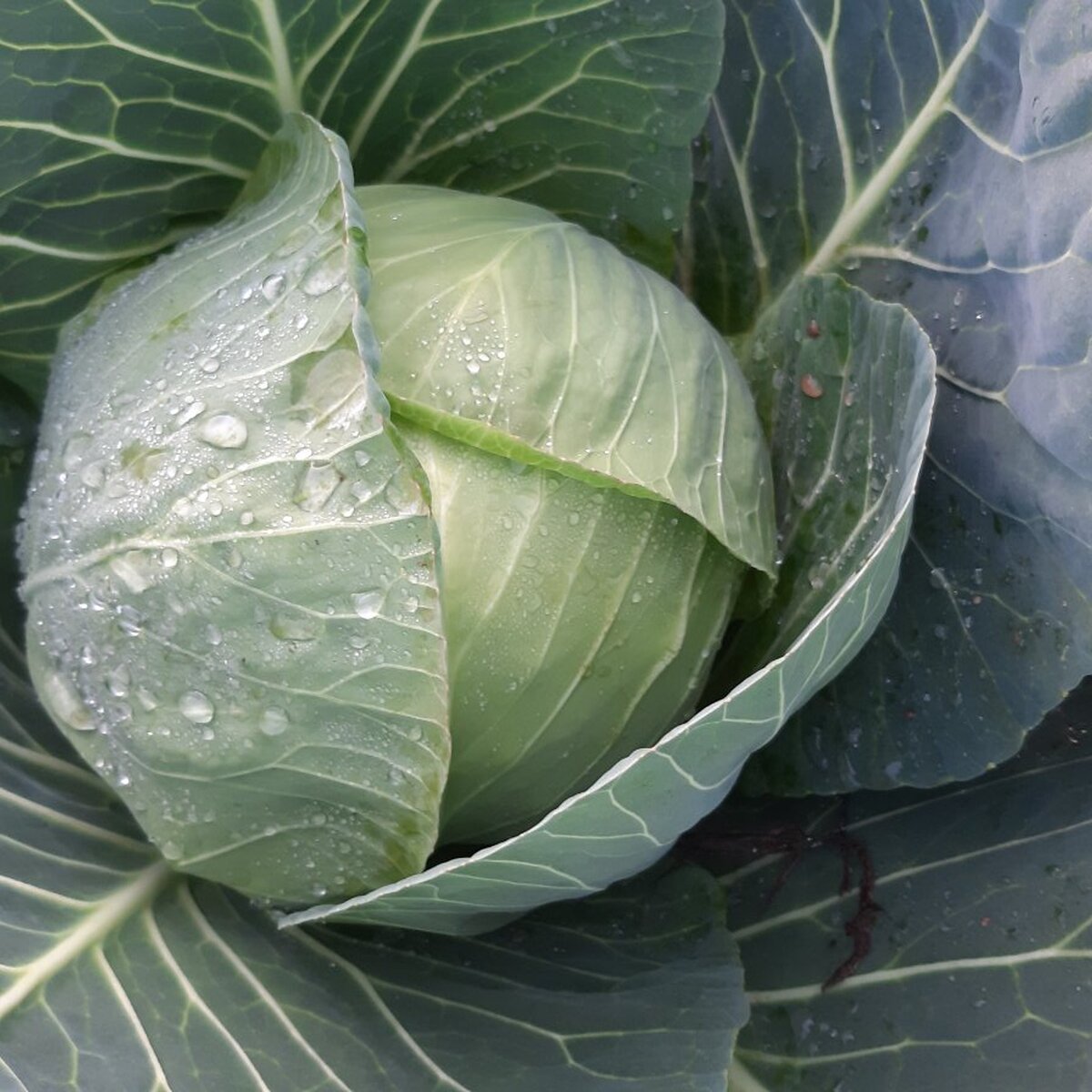 viber_image_2023-11-14_15-47-07-816.jpg