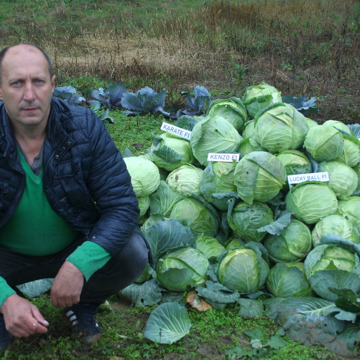 IMG_3540.JPG