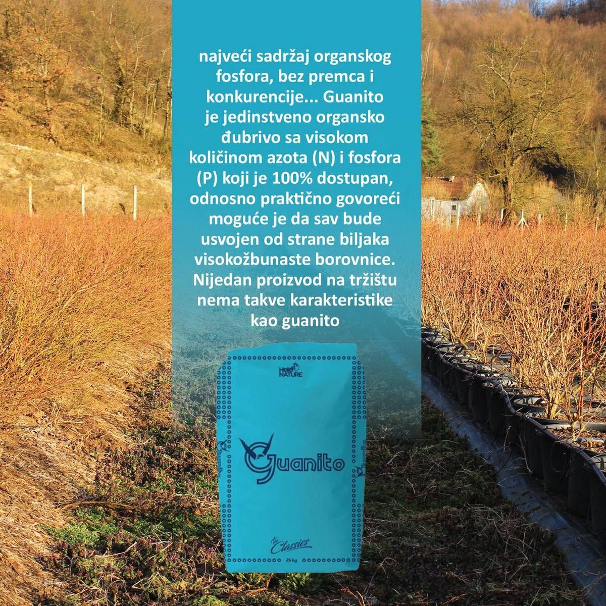 02-Borovnica-12-5-15-i-Guanito-06-03-2024.jpg