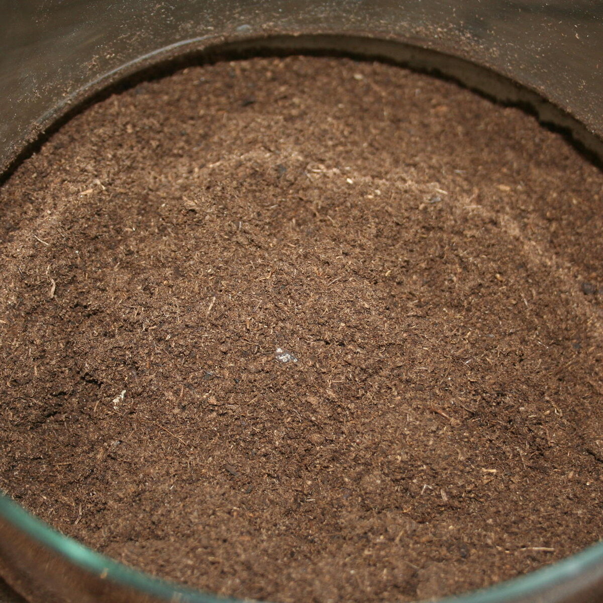 19007IMG_3429.JPG