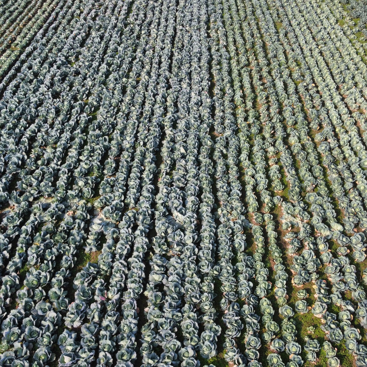 dji_fly_20241030_094430_373_1730277901322_photo_optimized.jpeg