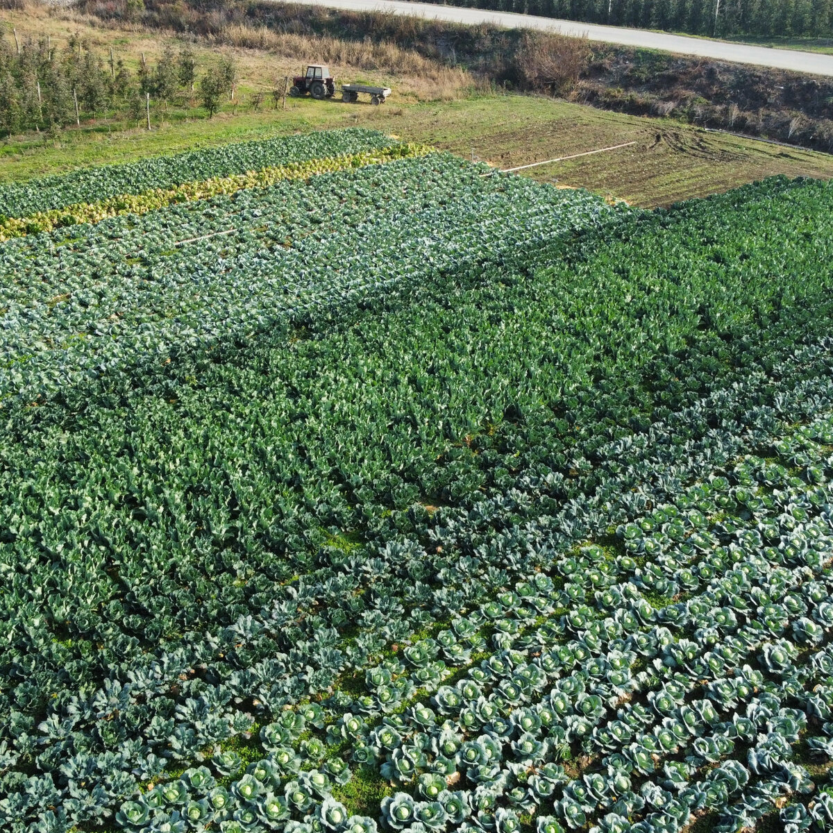 dji_fly_20241030_094442_375_1730277908005_photo_optimized.jpeg