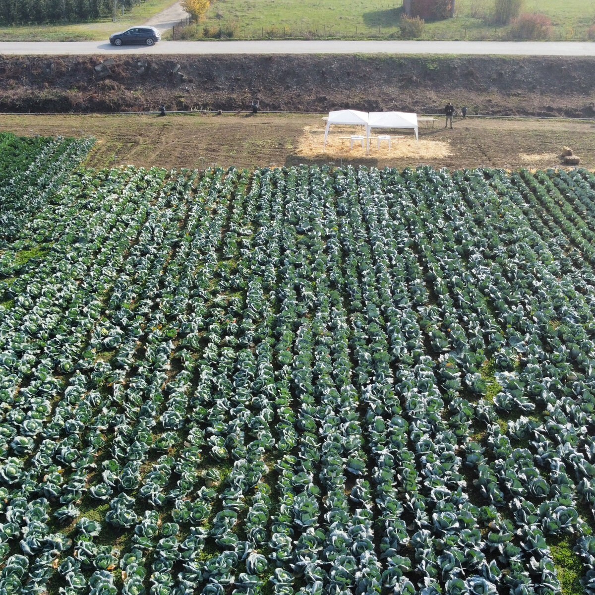 dji_fly_20241030_094448_376_1730277904354_photo_optimized.jpeg
