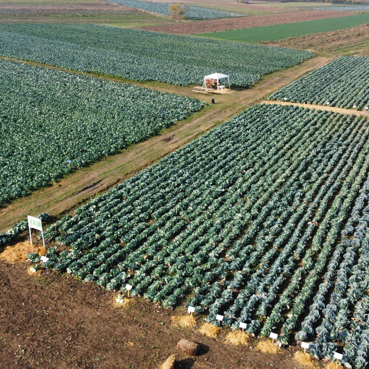 dji_fly_20241030_094510_377_1730277934254_photo_optimized.jpeg