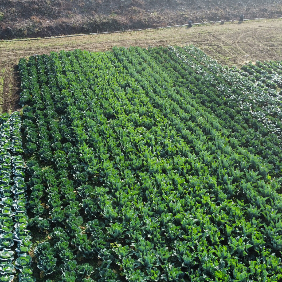 dji_fly_20241030_094724_383_1730278060328_photo_optimized.jpeg