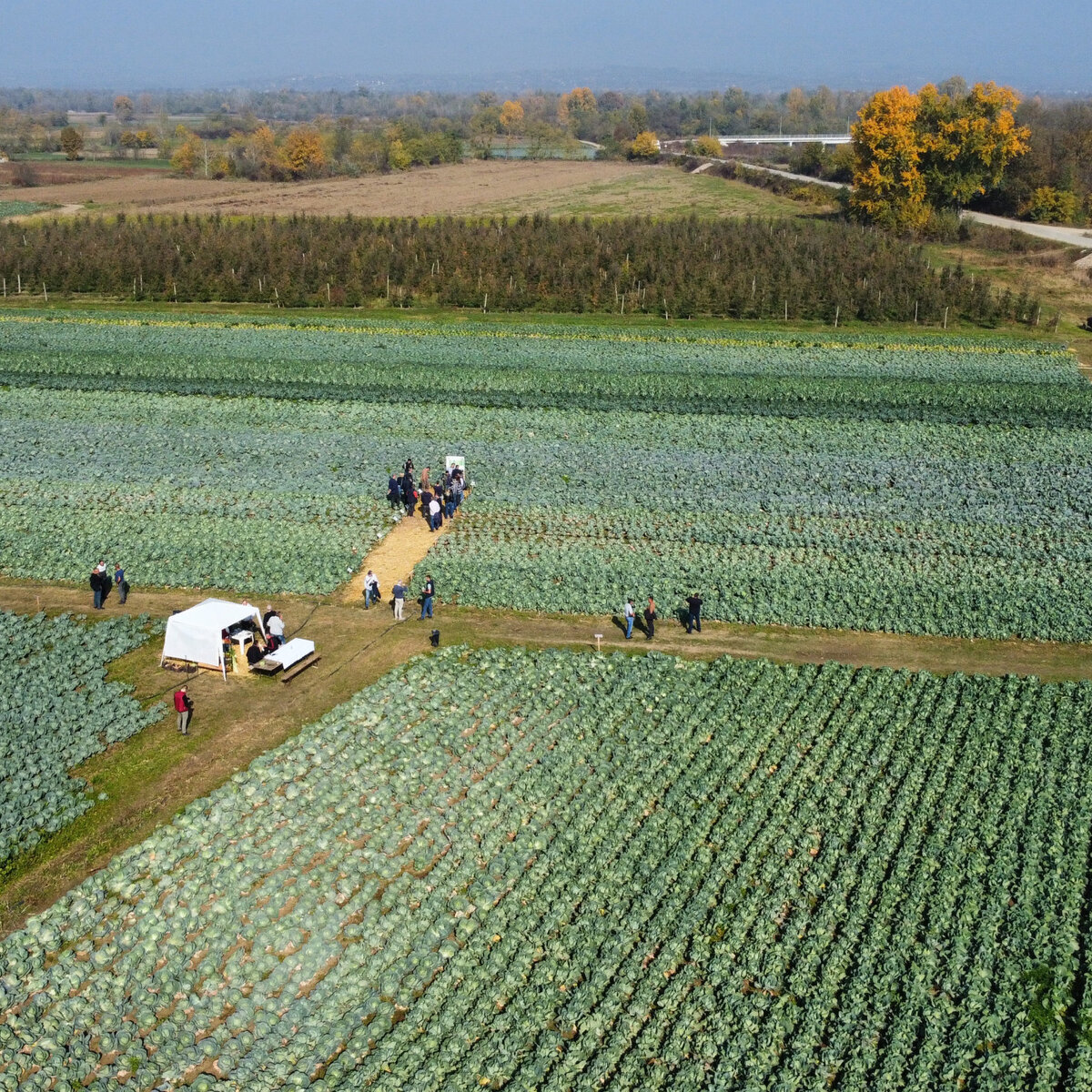 dji_fly_20241030_111856_397_1730283547037_photo_optimized.jpeg