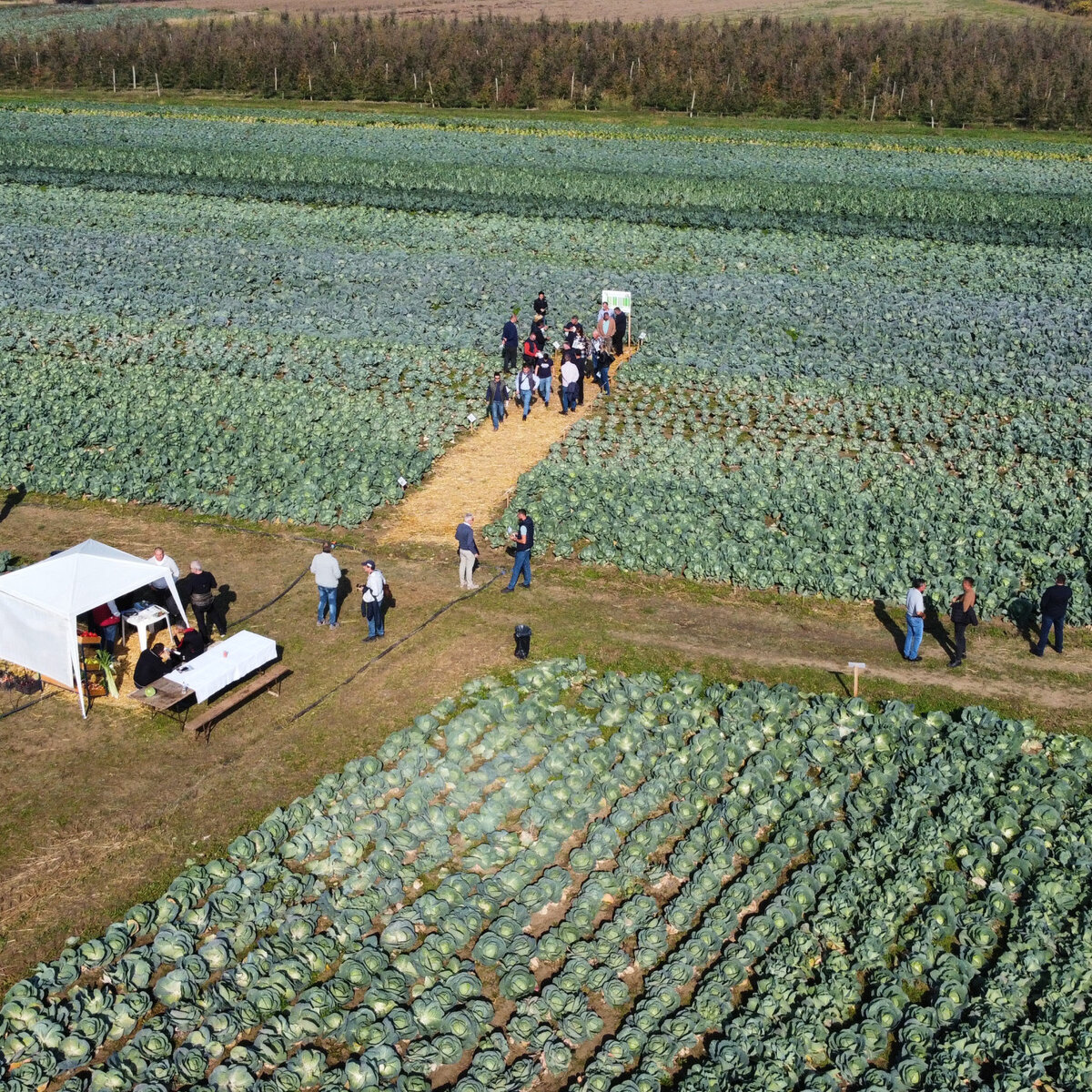 dji_fly_20241030_111902_398_1730283587509_photo_optimized.jpeg