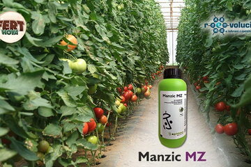 06 08 2025 kampanja povrtari manzic mz 2