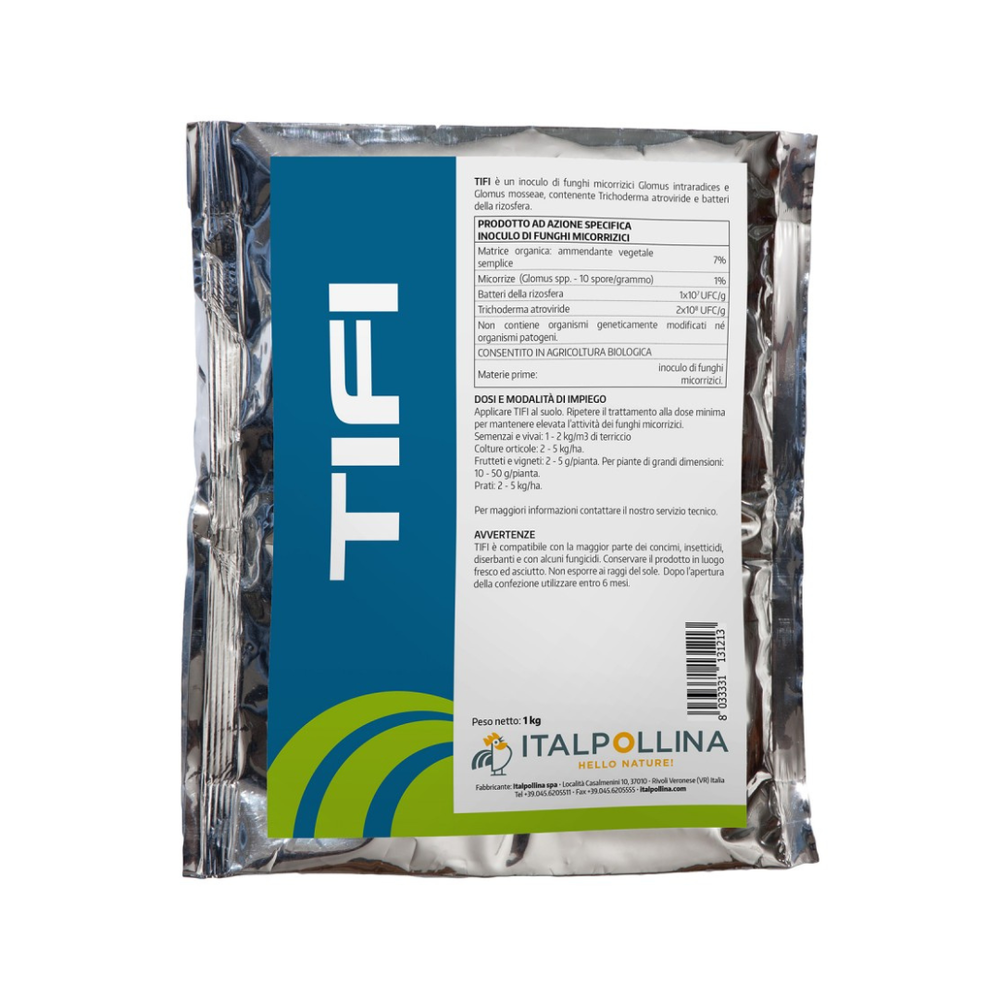 TIFI.png
