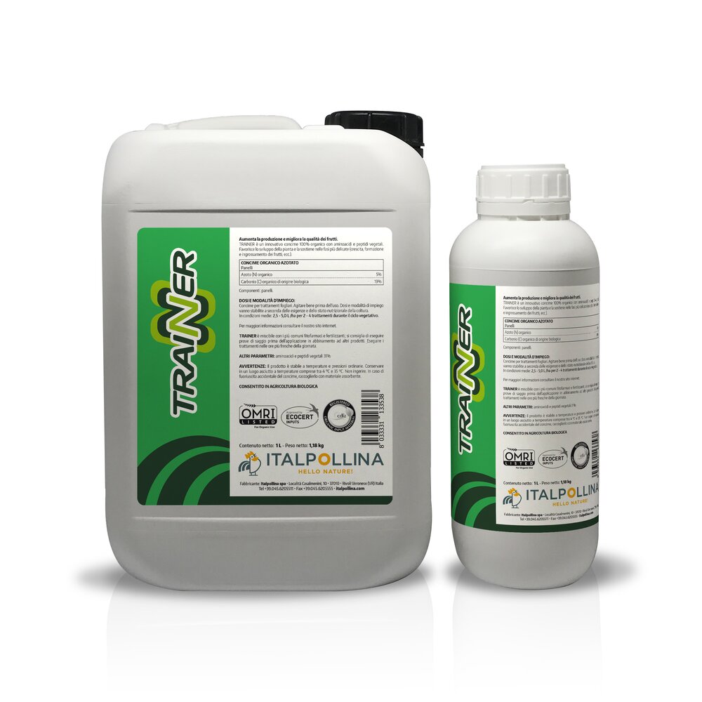 6380Trainer copia.jpg