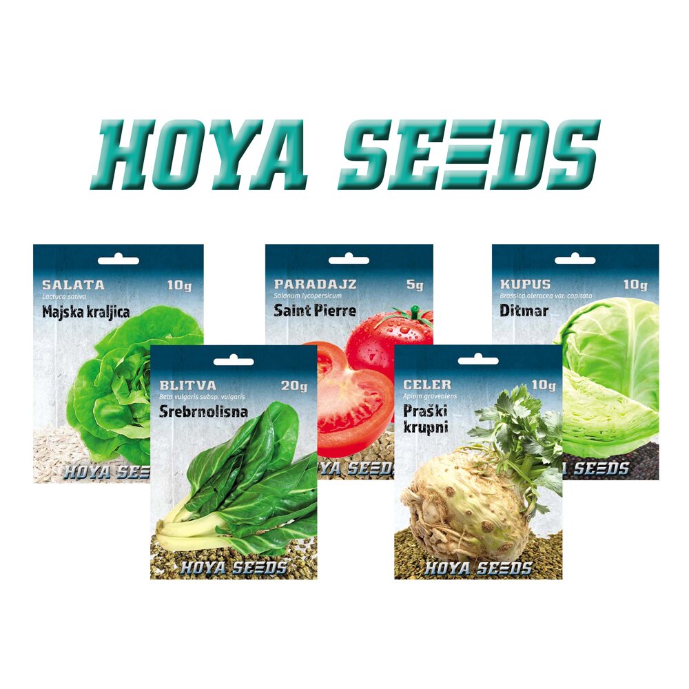 5206hoya-seeds2.jpg