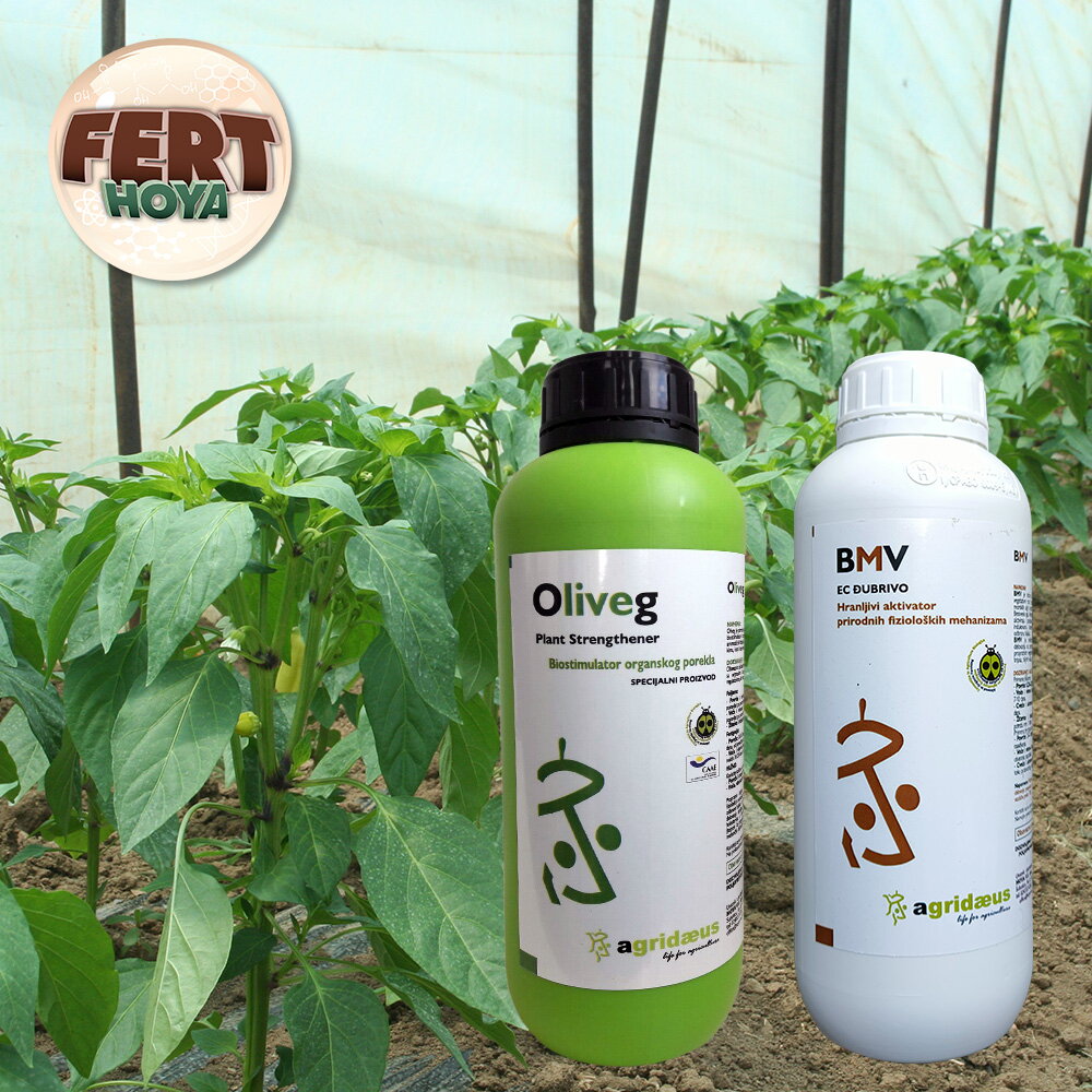 104kampanja oliveg i bmv 23 04 2024