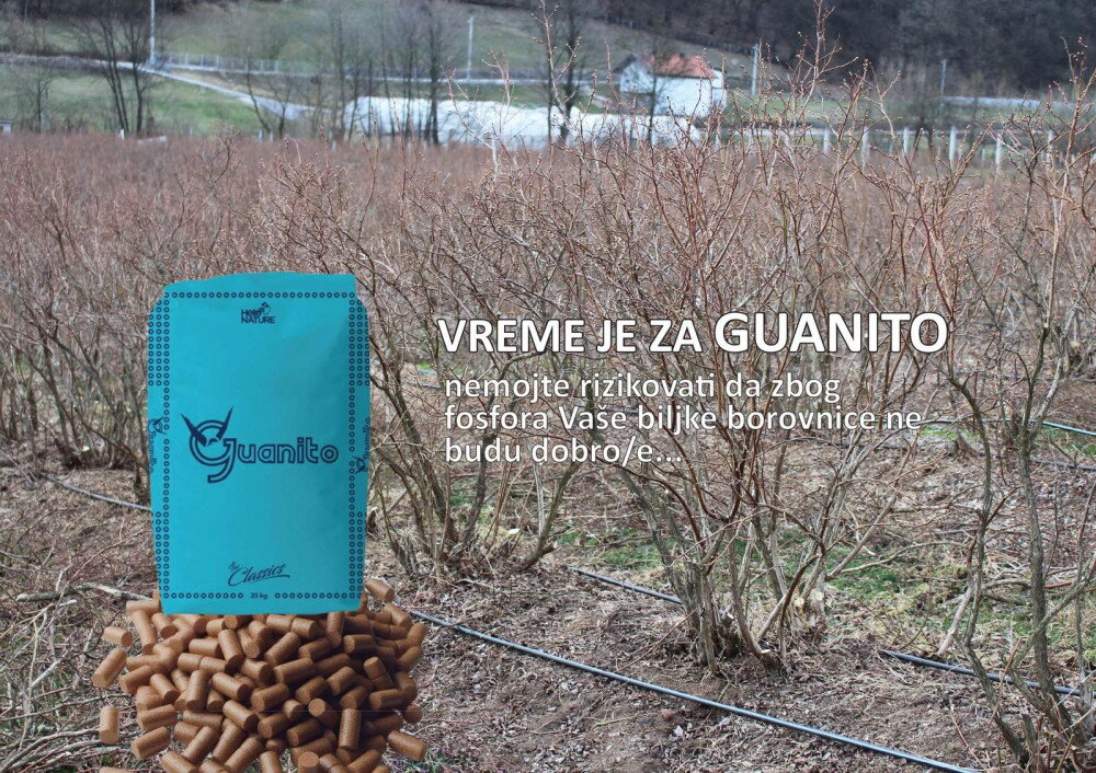 10401 borovnica 12 5 15 i guanito 0