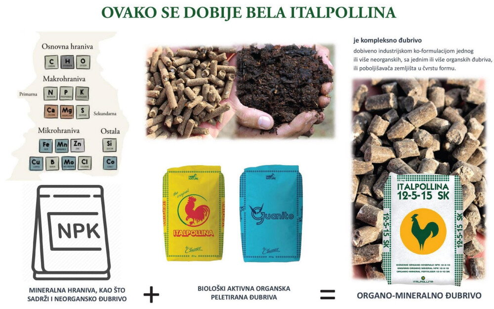 10404 borovnica 12 5 15 i guanito 0