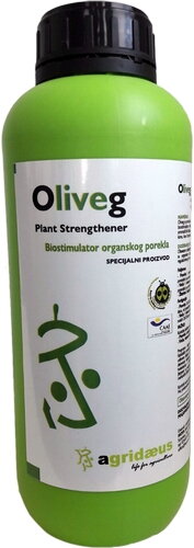 104oliveg 1 lit 500px