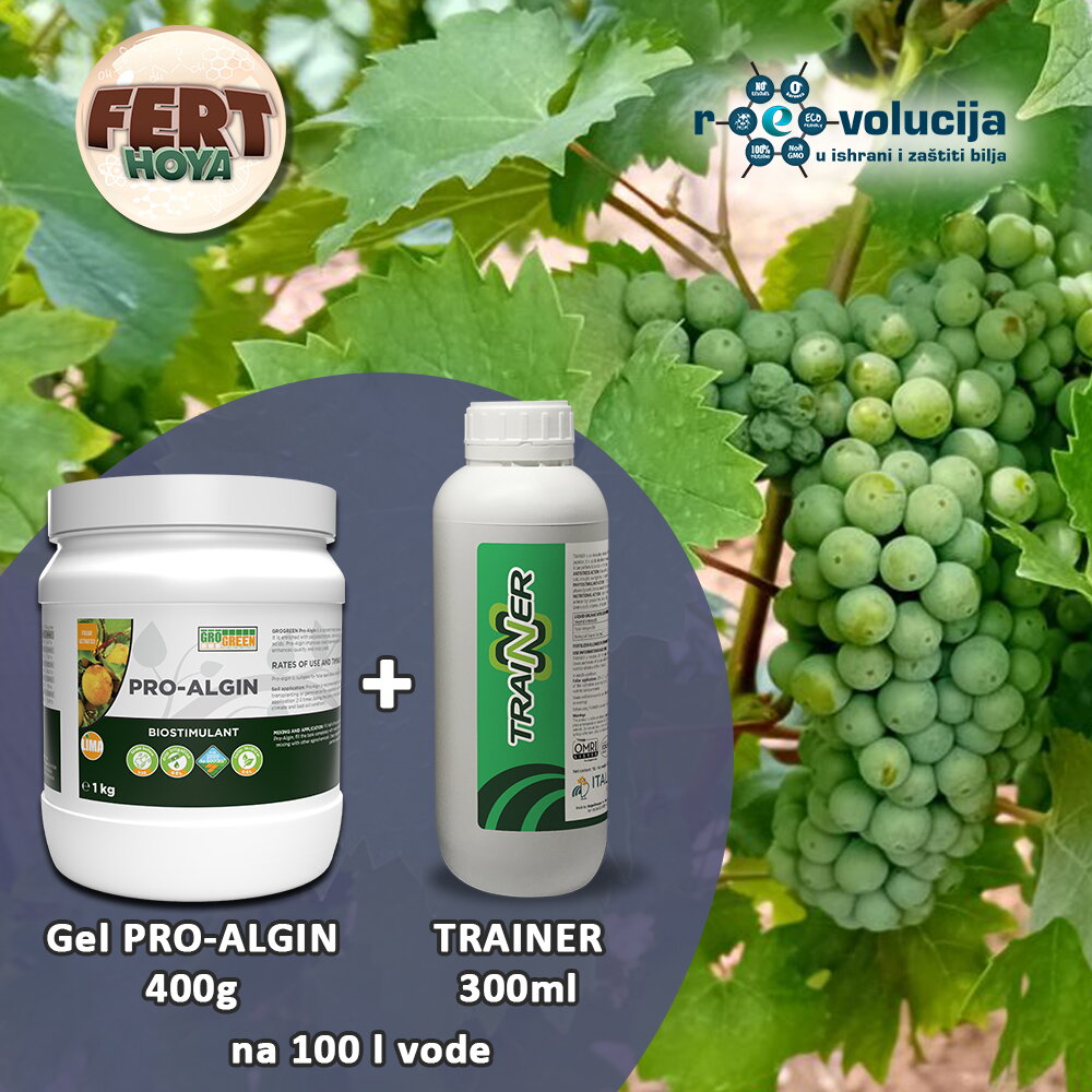 10417 07 2025 vinogradari pro algin