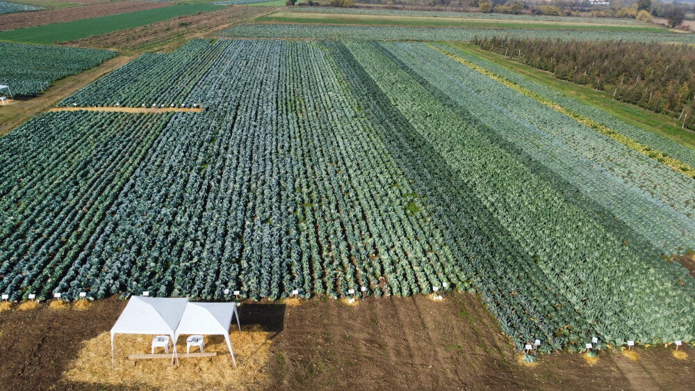 104dji fly 20241030 094528 379 1730
