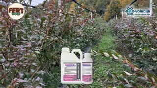 1808614 10 2025 best regulator 2