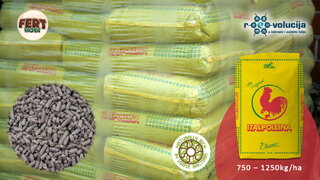 17 10 2025 kampanja 333 2