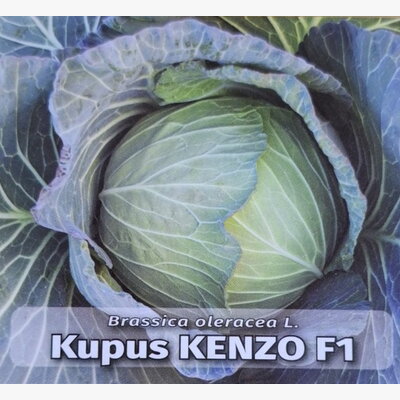 kupus_kenzo