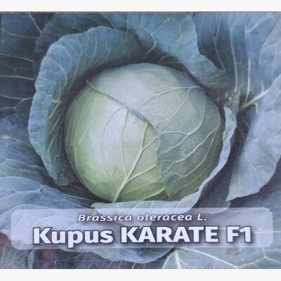kupus_karate