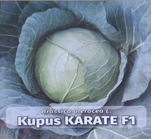 kupus_karate