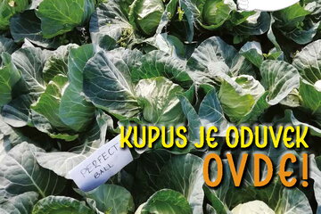 katalozi i prospekti