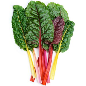 seme povrca gramature profi_blitva verte a carde couleur 14821