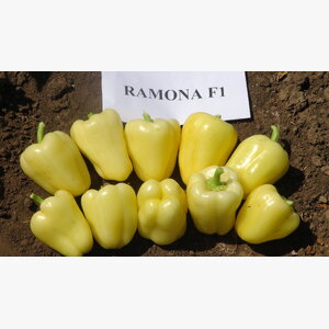 paprika_ramona f1 14833