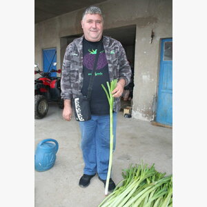 luk_praziluk kamus crx 3509 14843