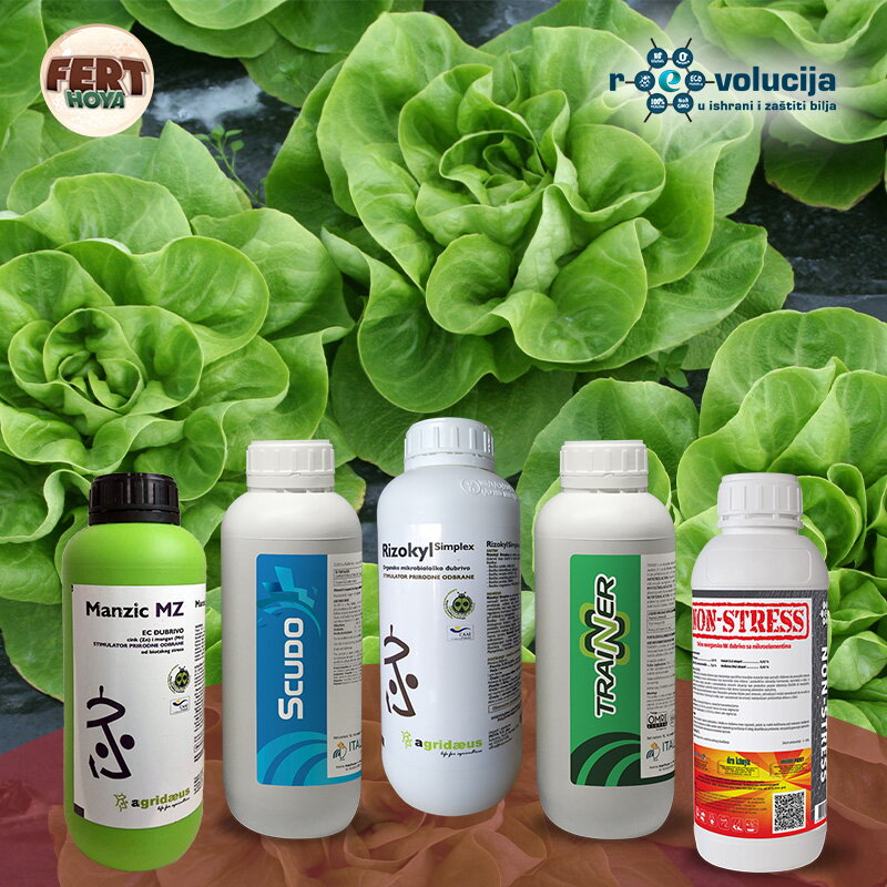 Povrtari_15_12_2025_1